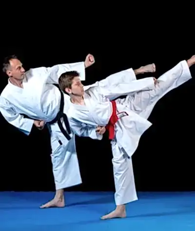 Savunma Sporları